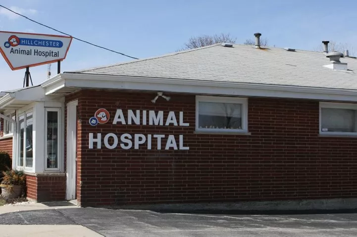 Hillchester Animal Hospital, Illinois, Hillside